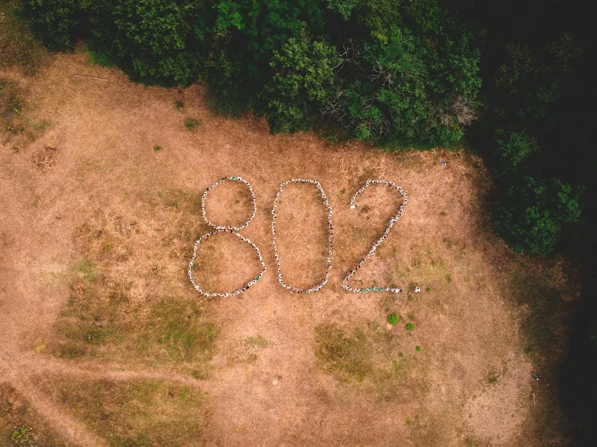 Cserkészek madártávlatból, a réten kirakott 802-es szám