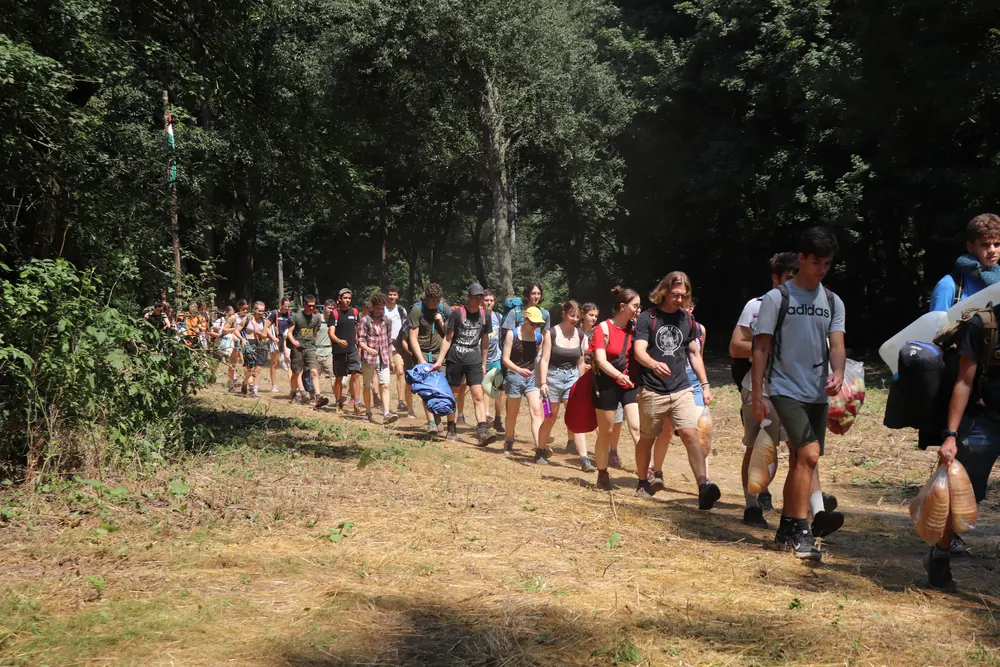 Cserkészek vonulnak az erdőben